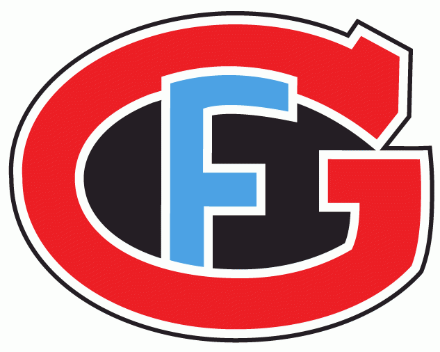 HC Fribourg-Gotteron 1999-2015 Primary Logo iron on transfers for clothing